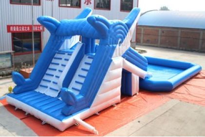 Dolphin Inflatable water slide and pool