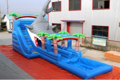 Shark Inflatable water slide and pool