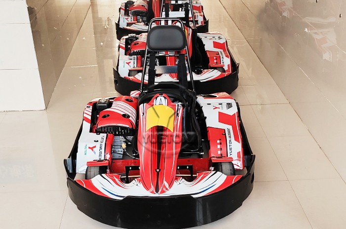 Entertainment go Kart