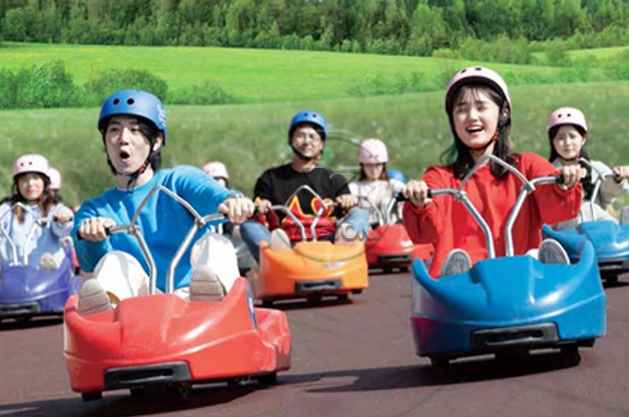 Lugecart