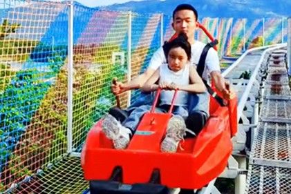Monorail Pulley